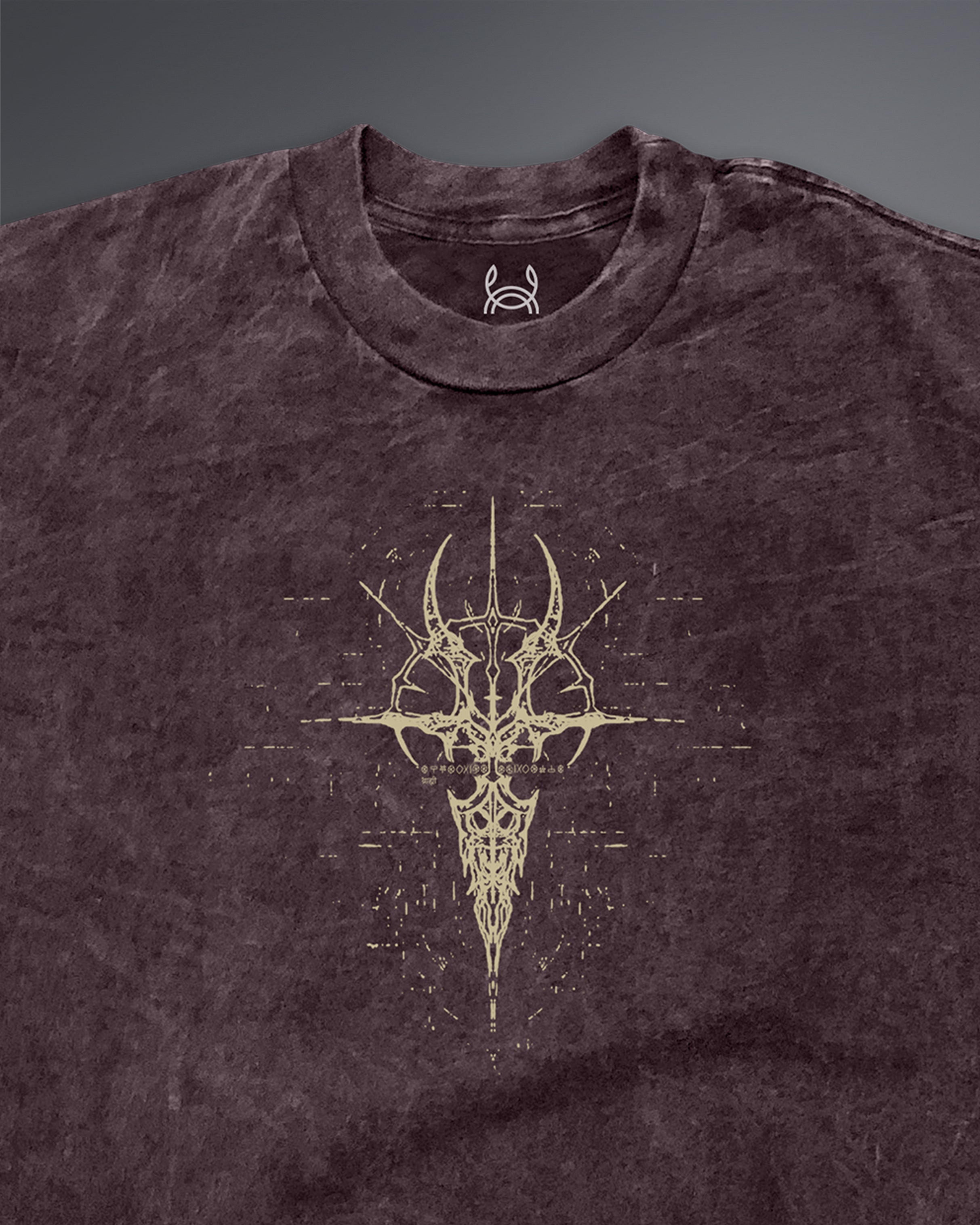 Crypted Glyph Oversized tee [ACID WASHED-BLOODSTONE]